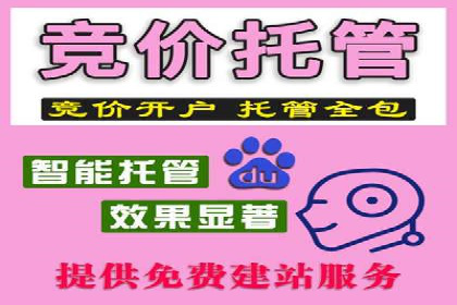 SEM广告投放的精准定位与优化案例